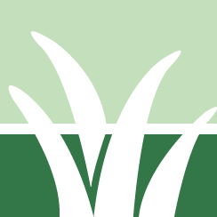 Invasive Knotweed Control Pros