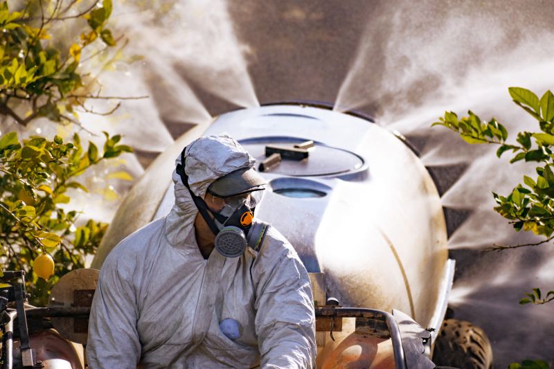 Invasive Knotweed Control