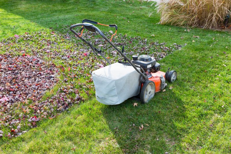 Equipment for Lawn Cleanup