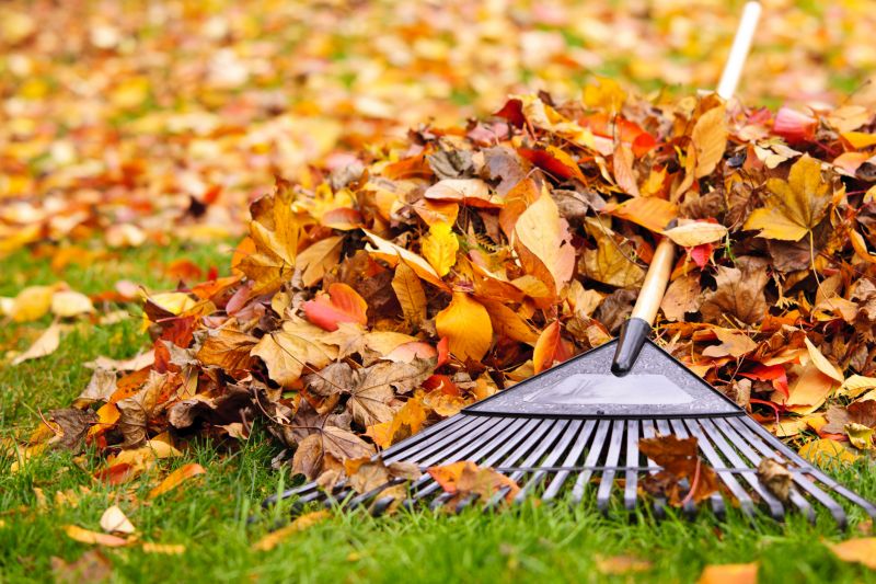 Clean Fall Lawn