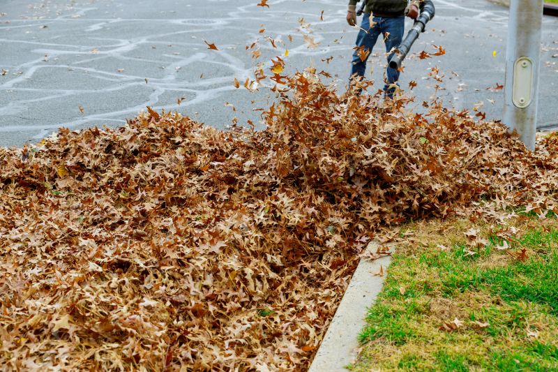 Leaf Removal Process