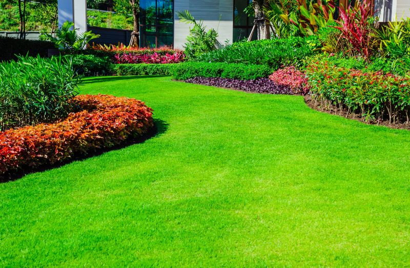 Healthy Lawn Results