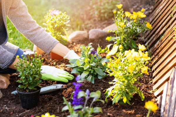 Plant Control